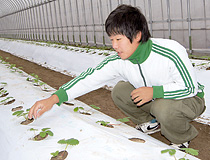 120101_14.jpg