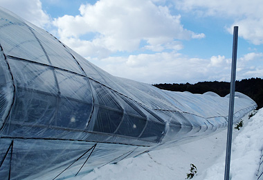 120118_04.jpg